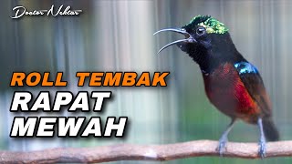 Download lagu ROLL TEMBAK RAPATB KONIN GACOR FULL ISIAN MEWAH AUDIO JERNIH COCOK UNTUK MATERI KOLIBRI NINJA IJOAN mp3 Download lagu ROLL TEMBAK RAPATB KONIN GACOR FULL ISIAN MEWAH AUDIO JERNIH COCOK UNTUK MATERI KOLIBRI NINJA IJOAN mp3