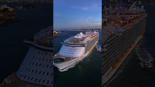 ⚪️SYMPHONY OF THE SEAS IN SANSE'S FEST🇵🇷 #cruiseship #cruise