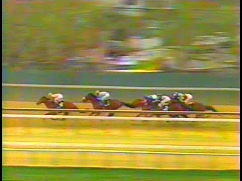 1991 Wood Memorial Stakes