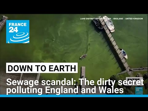 Sewage scandal: The dirty secret polluting England and Wales • FRANCE 24 English