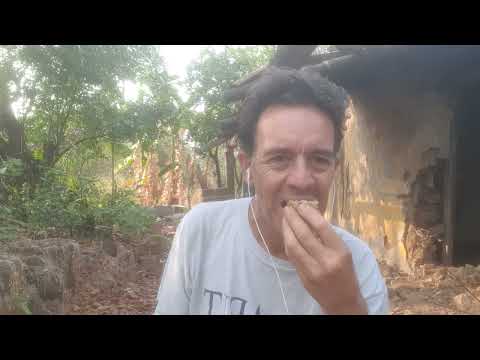 The Secret of Noni Fruit: Throat Care for Speakers & Singers