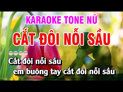 Cắt Đôi Nỗi Sầu Karaoke Tone Nữ | Karaoke Quốc Thái