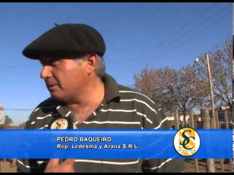 PEDRO BAQUEIRO - 19/04/2013 - Ledesma y Arana S.R.L. - Rauch