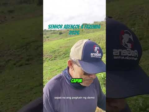 senhor abençoe #paraíba #agro #pecuária#capim