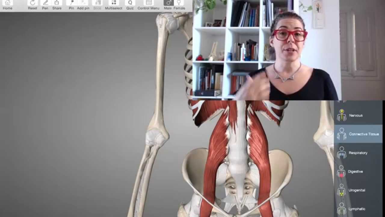 cómo desbloquear el diafragma