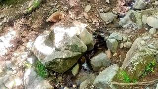 赤城山麓湧水池美人の水