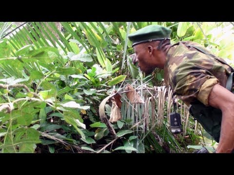Kony's Ivory: LRA Poaching in Garamba Na