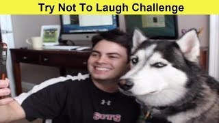 Try Not To Laugh Challenge (Vine Edition) - Co Vines ✔