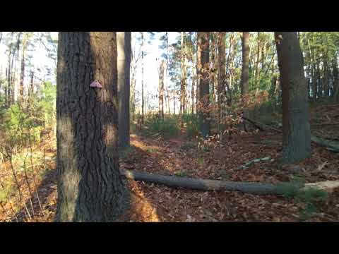 Pleasant Meadows Hiking Area, Millis MA.