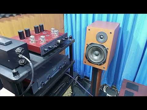 lungyim~Factor FP-5 - Technics SE-A100 - ToneWinner TY-30 HIFI CD Player ( 4 )