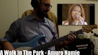 Amuro Namie 安室奈美恵 - A Walk in the Park - Bass Cover