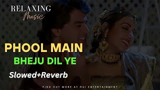 Download lagu Phool Main Bheju Dil Ye Slowed Reverb Lo-fi || Kumar Shanu -Lata Mangeshkar|SALMA PE DIL AAGA YA mp3 Download lagu Phool Main Bheju Dil Ye Slowed Reverb Lo-fi || Kumar Shanu -Lata Mangeshkar|SALMA PE DIL AAGA YA mp3