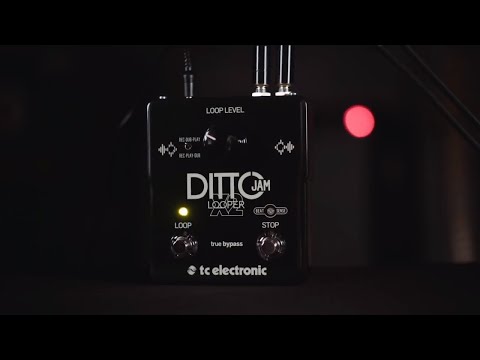 TC Electronic Ditto Jam X2 Looper Pedal | Sweetwater