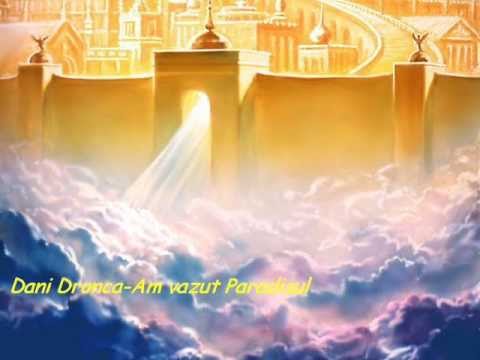 Dani Dronca-Am vazut Paradisul