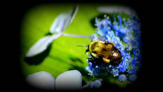 Women will someday rule the World!!!- The Commute Ep 2.4