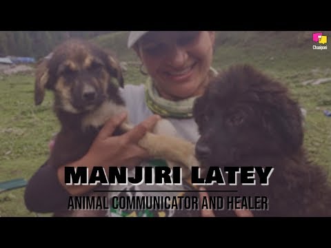 Meet Manjiri Latey, an animal communicator