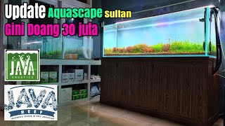 #302 UPDATE Aquascape duchstyle 180cm "Mengatasi alga diatom"