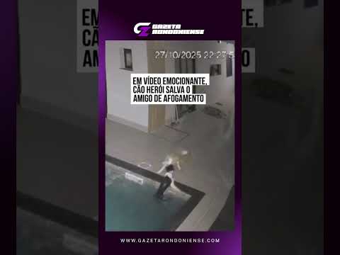 Cão Herói salva amigo de afogamento #noticias