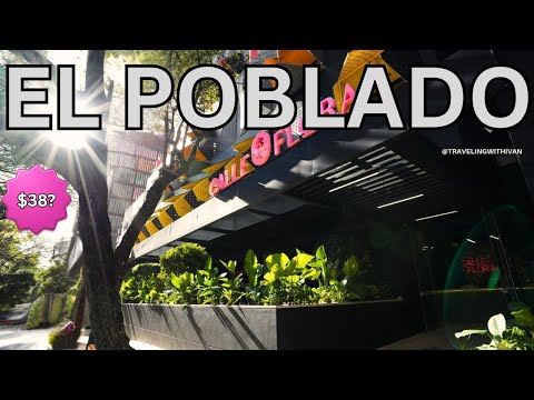 $38 Room Review | Calle Flora Hotel | New Hotel in Parque LLeras | Medellin