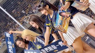 【Passion Sisters】陪你一齊#台湾チアリーディングチーム#中華職棒#CPBL#洲際#20240922（周思齊引退賽）