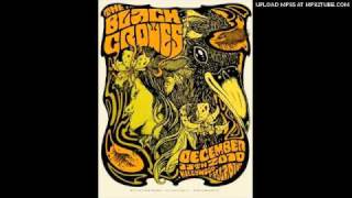 The Black Crowes - Long Black Veil