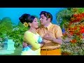 ANR Vanisri Evergreen Song Koduku Kodalu Movie Songs Telugu Movie Songs HD