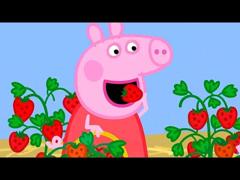 Peppa Pig Full Episodes | Season 8 | Compilation 47 | Kids Video