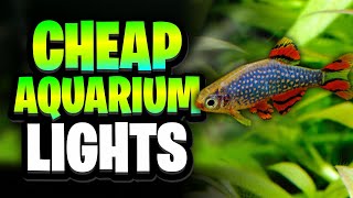 5 Cheap Aquarium Lights For Planted Tanks – Tested and Revie