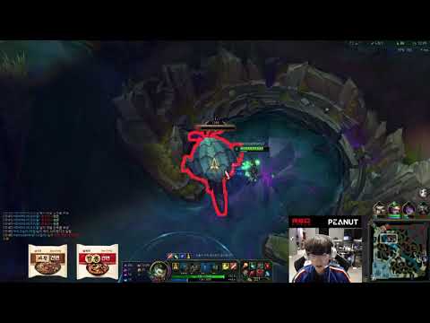 NS Peanut Stream | LOL | Korea Master | Nidalee