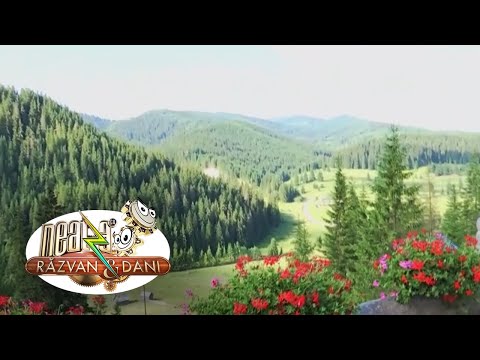 Vrei o vacanță cu peisaje de rămas în suflet? Hai în Bucovina!