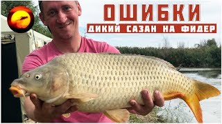 На что ловят сазана осенью в енисее