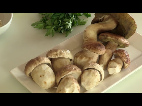 RISOTTO AI FUNGHI PORCINI - Video Ricetta - Grigio Chef