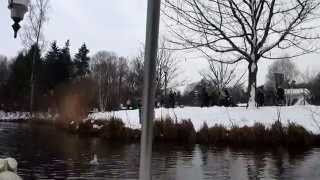preview picture of video '(3D audio) Winter Efteling - Gondoletta in de sneeuw'