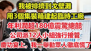 我被排擠到戈壁灘，用3個集裝箱建起臨時工廠，年利潤超180億震驚總部。公司派12人小組強行接管，慶功宴上，我一舉動眾人徹底慌了#情感 #爽文 #職場 #生活 #總裁