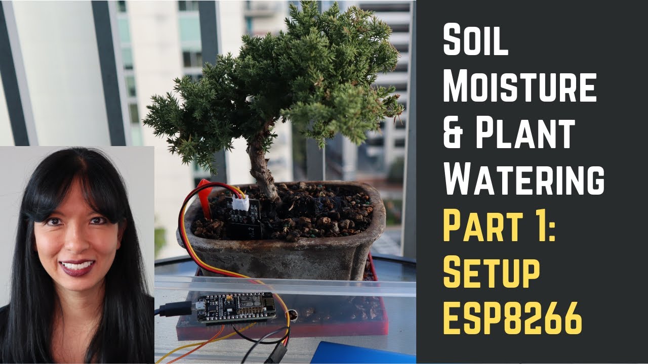 House Plant Monitoring and Watering Part 1: Setup ESP8266