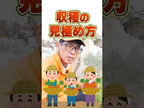 キャロットフライ2023はどうする？