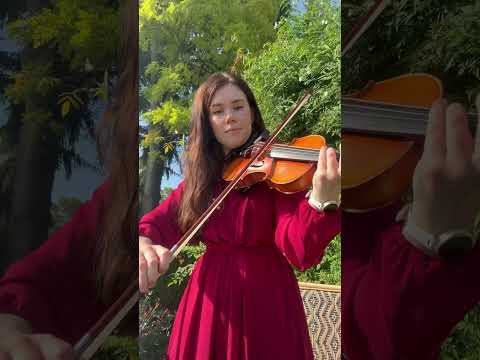 Promotional video thumbnail 1 for Silver Strings Ensemble