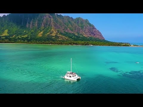 DJ MAXWELL vs PAPS’N’SKAR - Happy to be (Because I’m free) [Official lyric video]