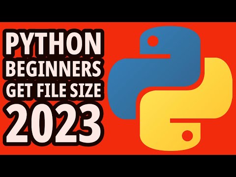 Python Programming Get File Size 2023