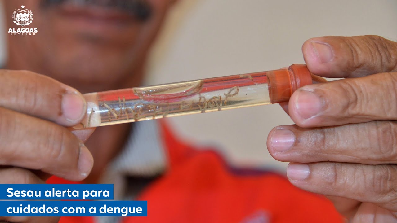 Sesau alerta para cuidados com a Dengue