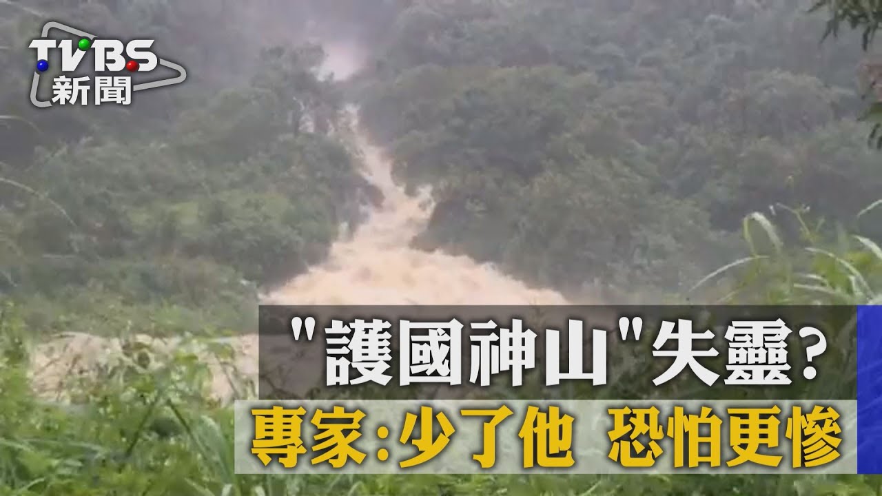 「護國神山」失靈? 專家:少了他恐怕更慘