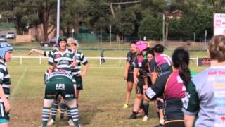 Campbelltown Harlequins Womens Rugby Team 2015