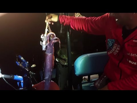 Fishing for Red Devils with mattiperlapesca.com