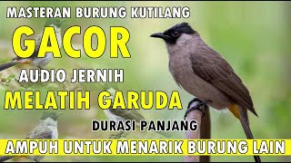 Download lagu Masteran Burung Kutilang Gacor Pasti Burung Kutilang Lain Ikut Bunyi Durasi Panjang mp3 Download lagu Masteran Burung Kutilang Gacor Pasti Burung Kutilang Lain Ikut Bunyi Durasi Panjang mp3