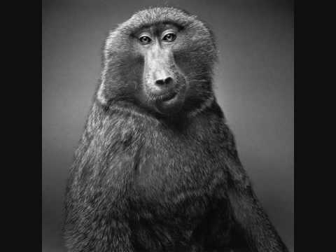 Henry Saiz - Rhinemaidens