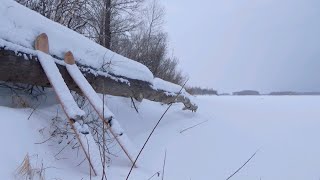 Рыбалка на летние жерлицы 2020