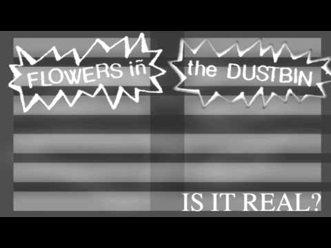 is it real - by flowers in the dustbin