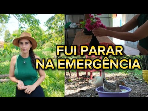 ESTAVA NO MEU TRABALHO. FOI HORRÍVEL 