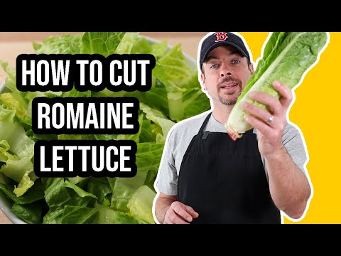 How to Cut Romaine Lettuce for Salads