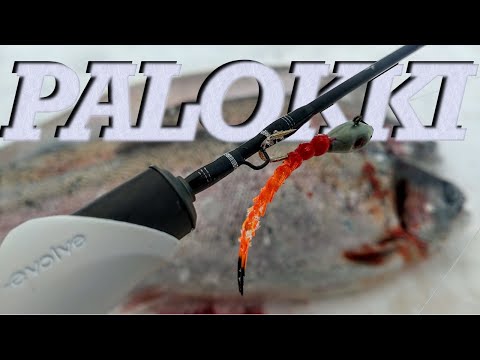 KIRJOLOHEN JIGIPILKINTÄÄ PALOKILLA!